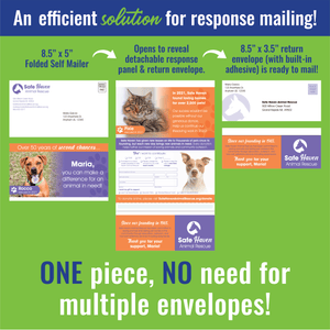 All-In-One Response Self-Mailer - ConvertACard